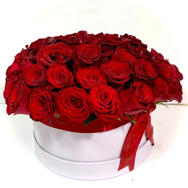 Ivory Grace Roses Box