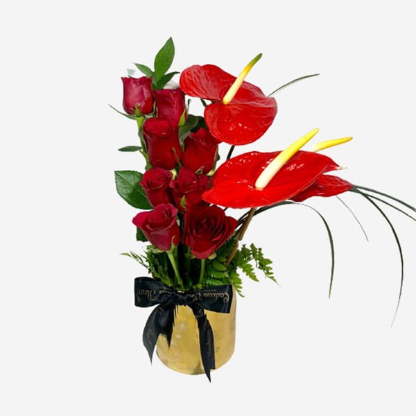 Anthuriums Song
