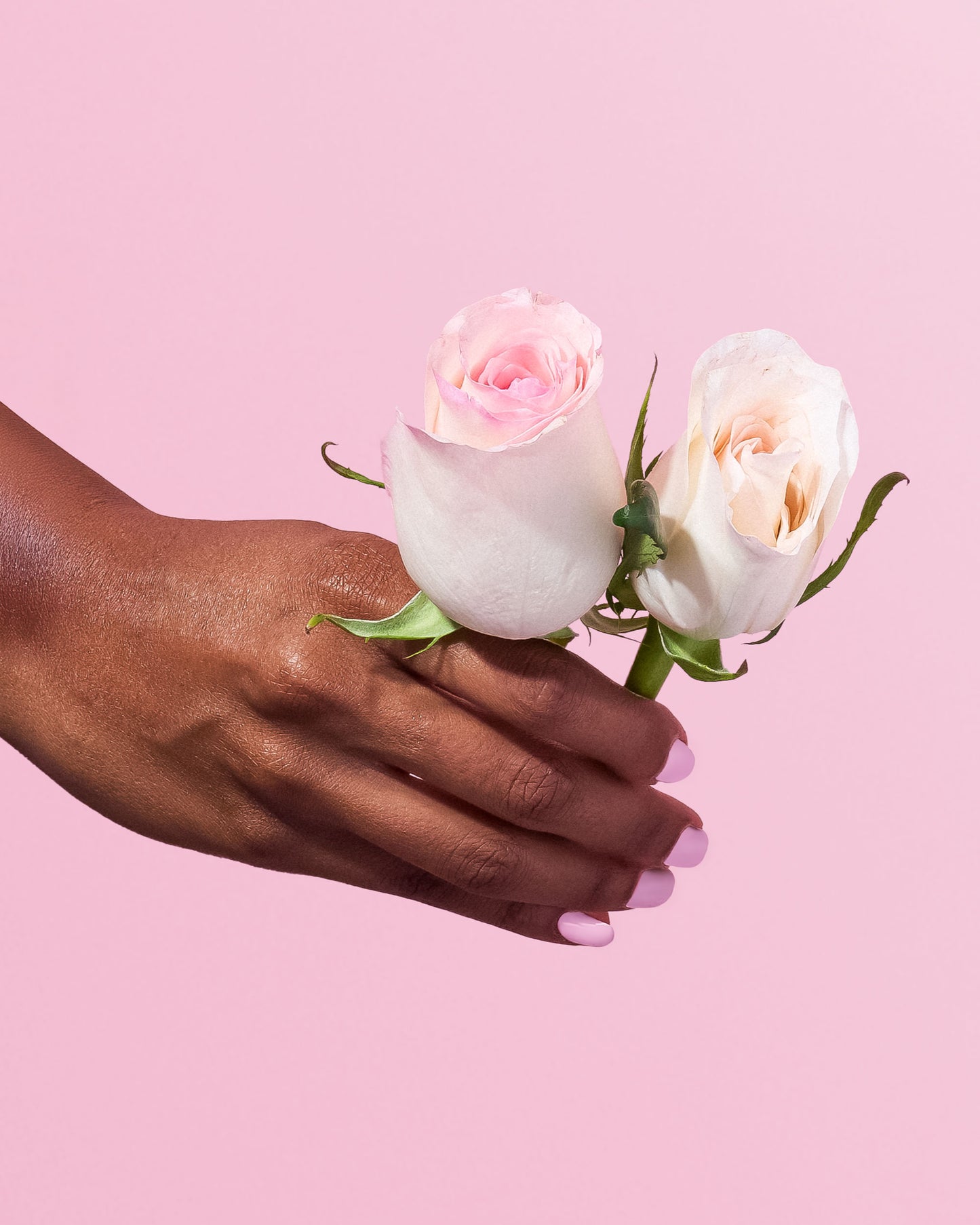 Rosy Reverie In Cylider Box